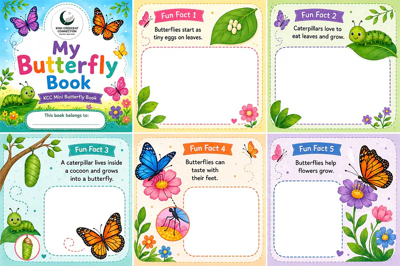 My_Mini_Butterfly_Book
