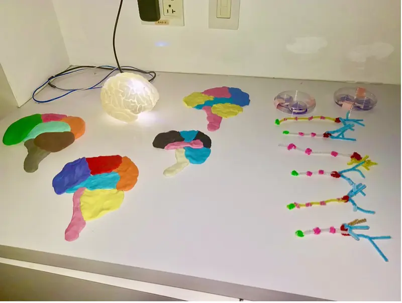 Kids activities, Brain Art exhibition - PHI Centre Montreal, Canada