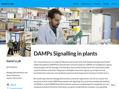 Gamir's Lab