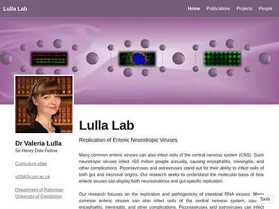 Lulla Lab