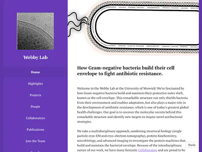 Webby Lab