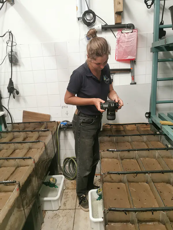 Studying bioturbation using photogrammetry.