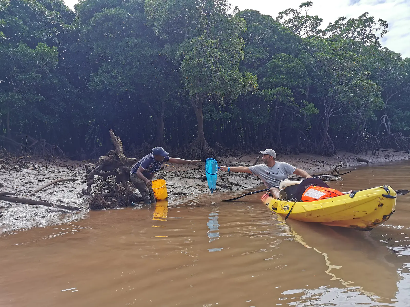 Mangrove crab fishing