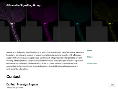 Gibberellin Signalling Group