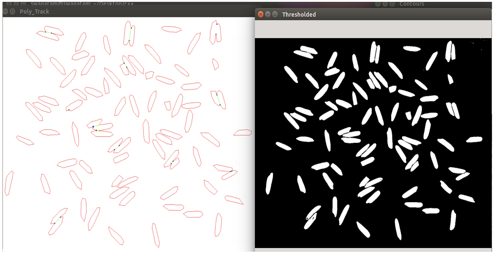 Segmented rice grains image (on the left), and original thresholded image (on the right).