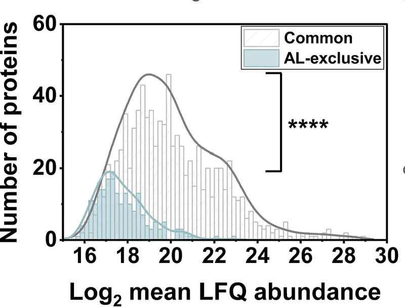 Proteomics lable-free quantfication via container-free (AL) vs Container-based (LPB) 8 hour trypsin digestion.
