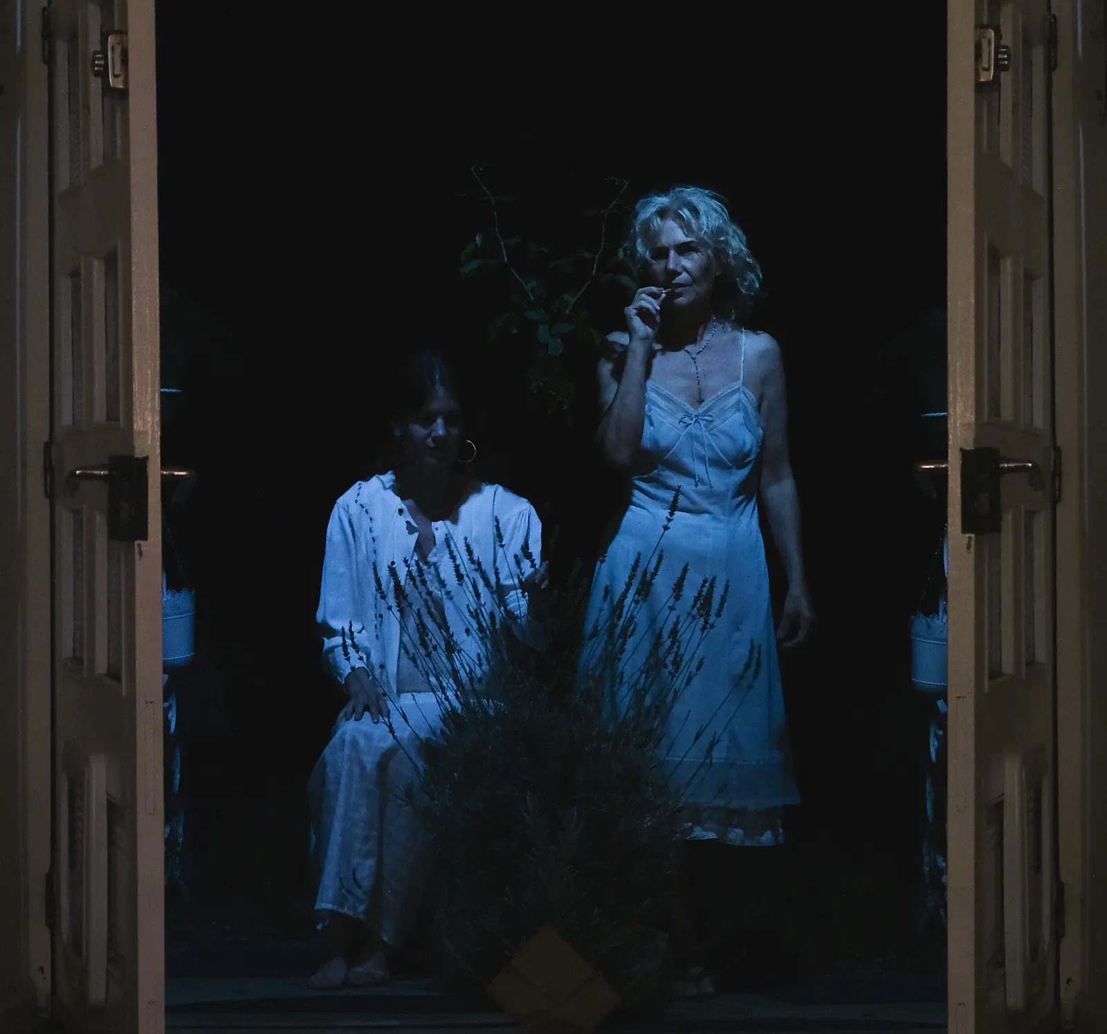 Moonlight Entry