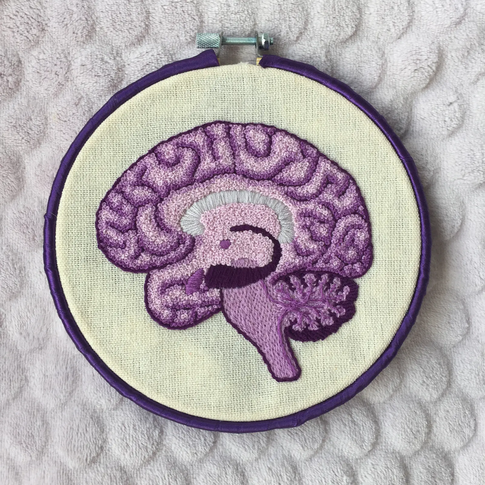 Purple Sagittal Monochrome
