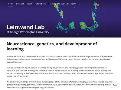 Leinwand Lab