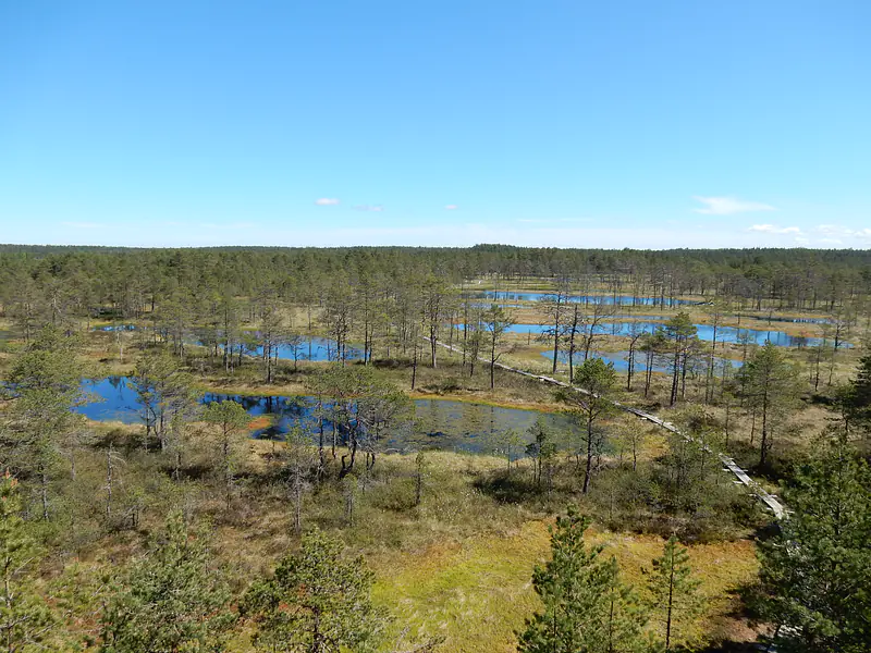 Estonia (2015): Bog landscape in the Lahemaa National Park