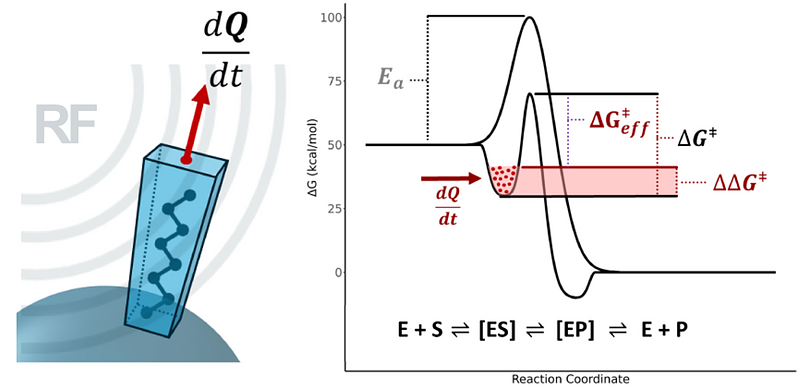 RISKOWSKI LAB - Nanoscale Temperature Increases Are Not Required for