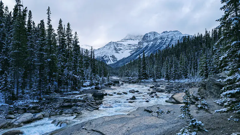 Mistaya Canyon | Alberta, Canada | 2025