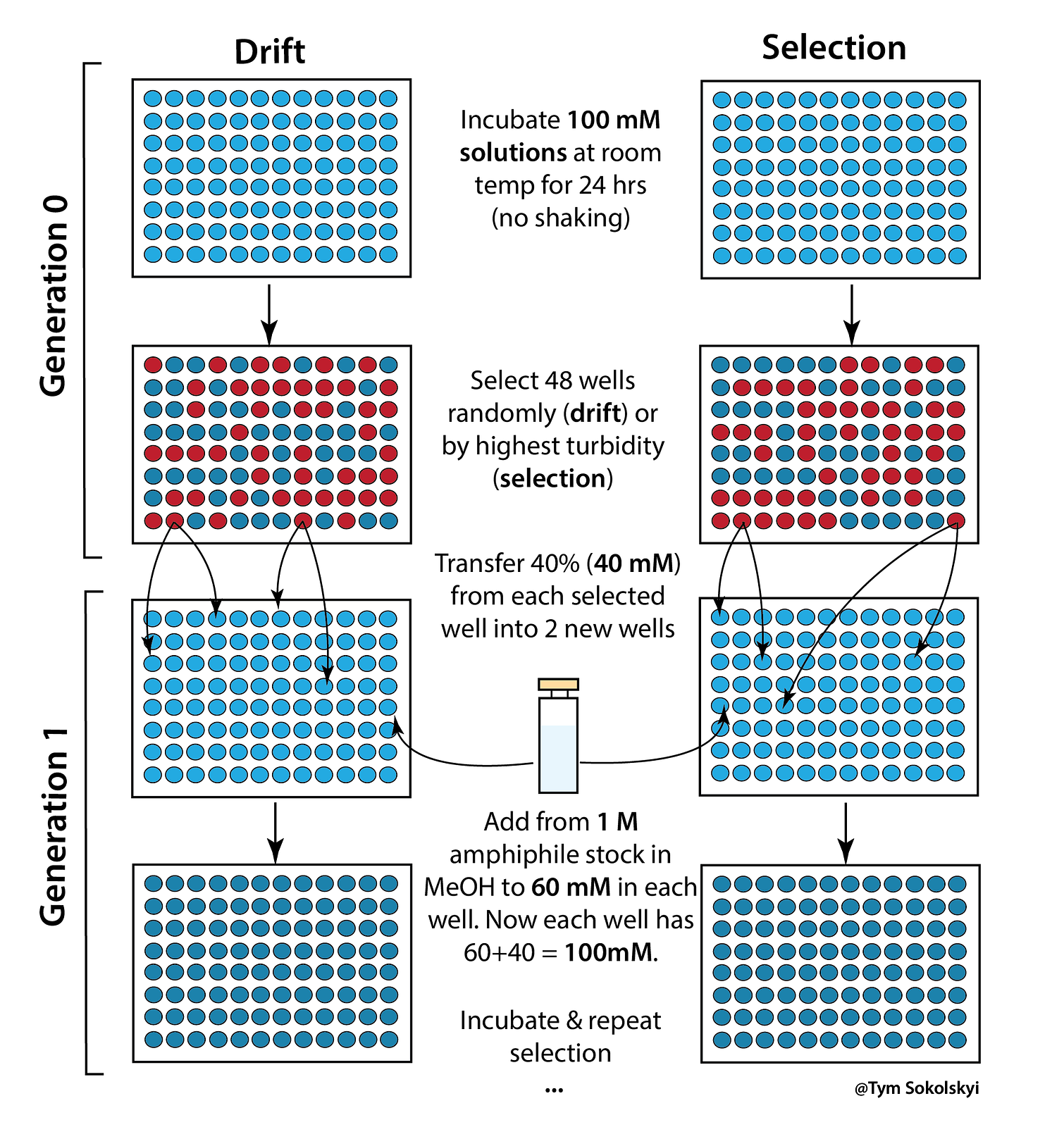 Scheme of the turbidity selection experiments.