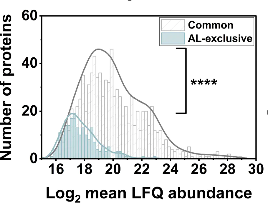 Proteomics lable-free quantfication via container-free (AL) vs Container-based (LPB) 8 hour trypsin digestion.