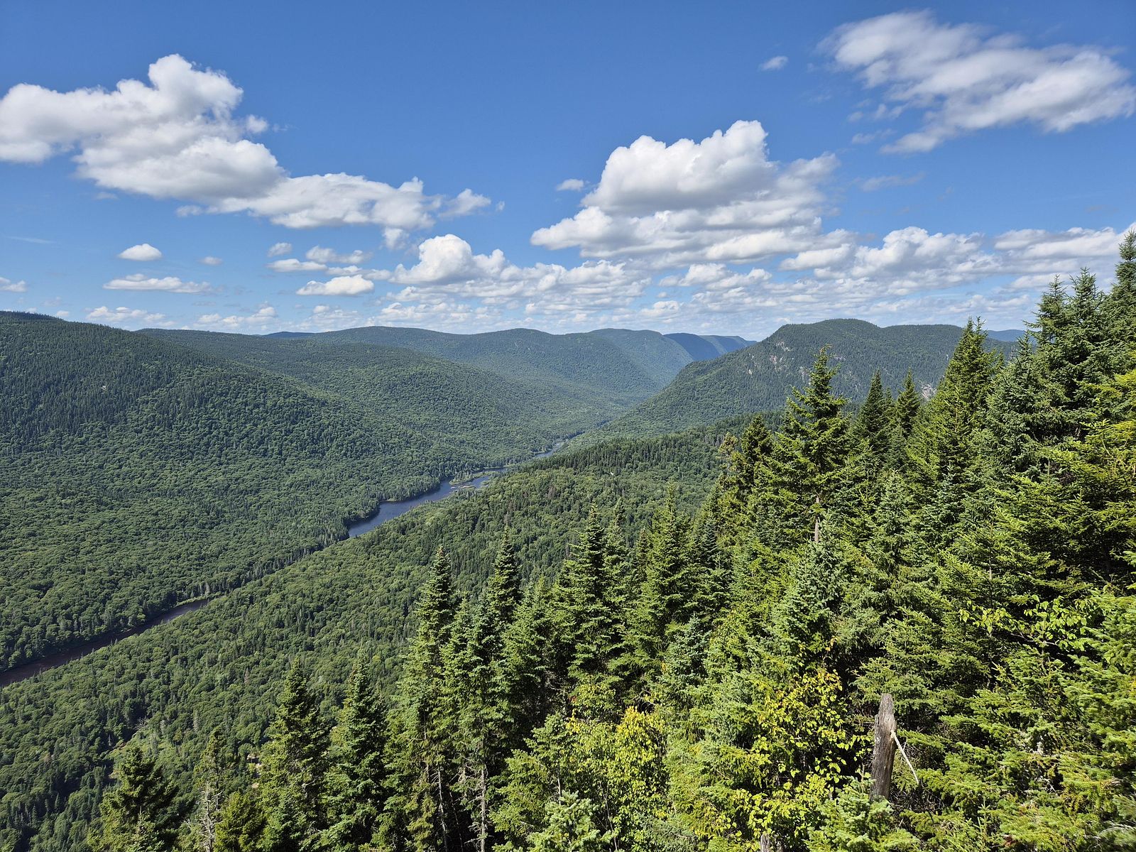 View across a valley and hills covered by hemiboreal forests on a sunny day