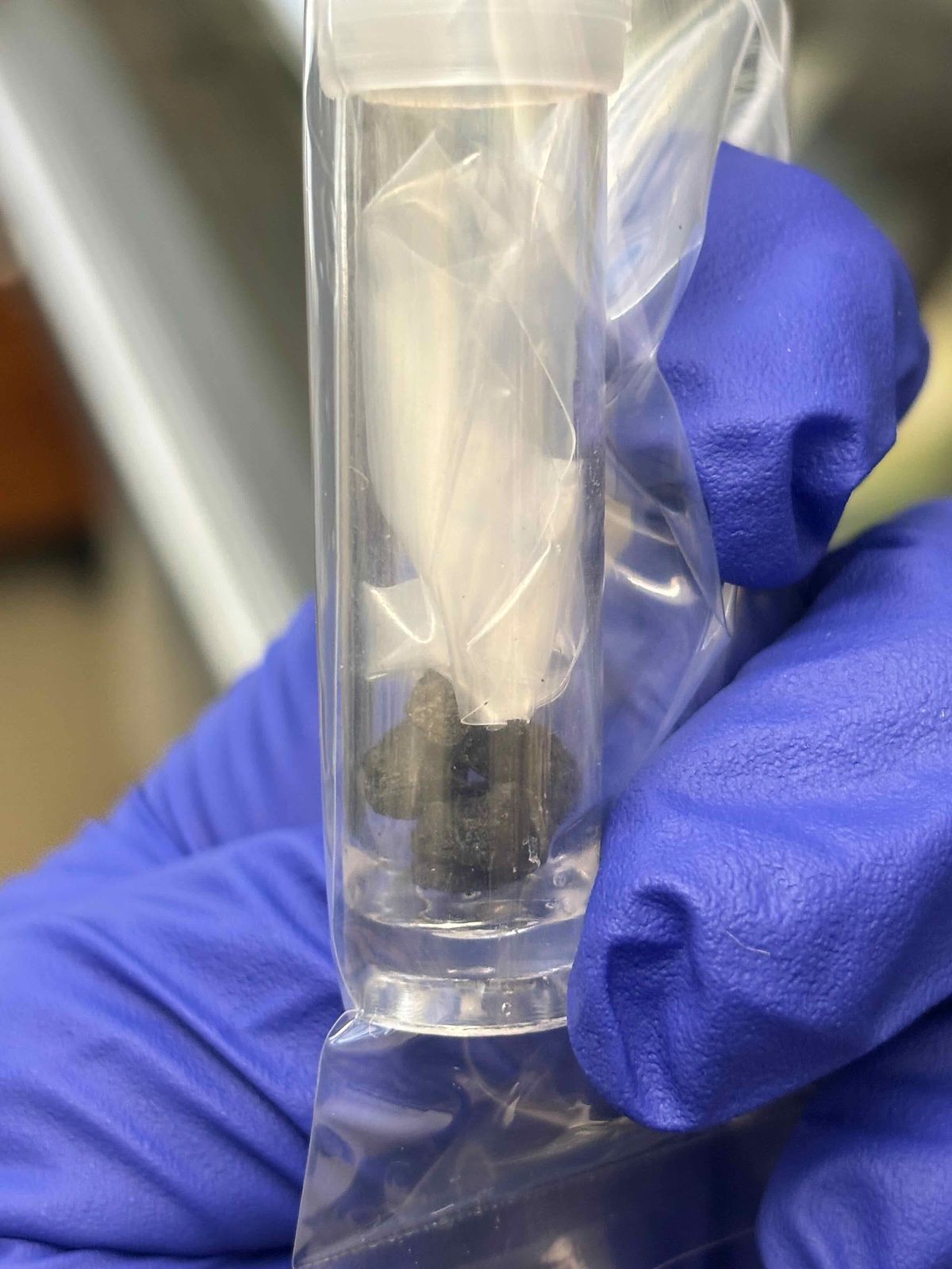 CM2 chondrite sample found in Antarctica.