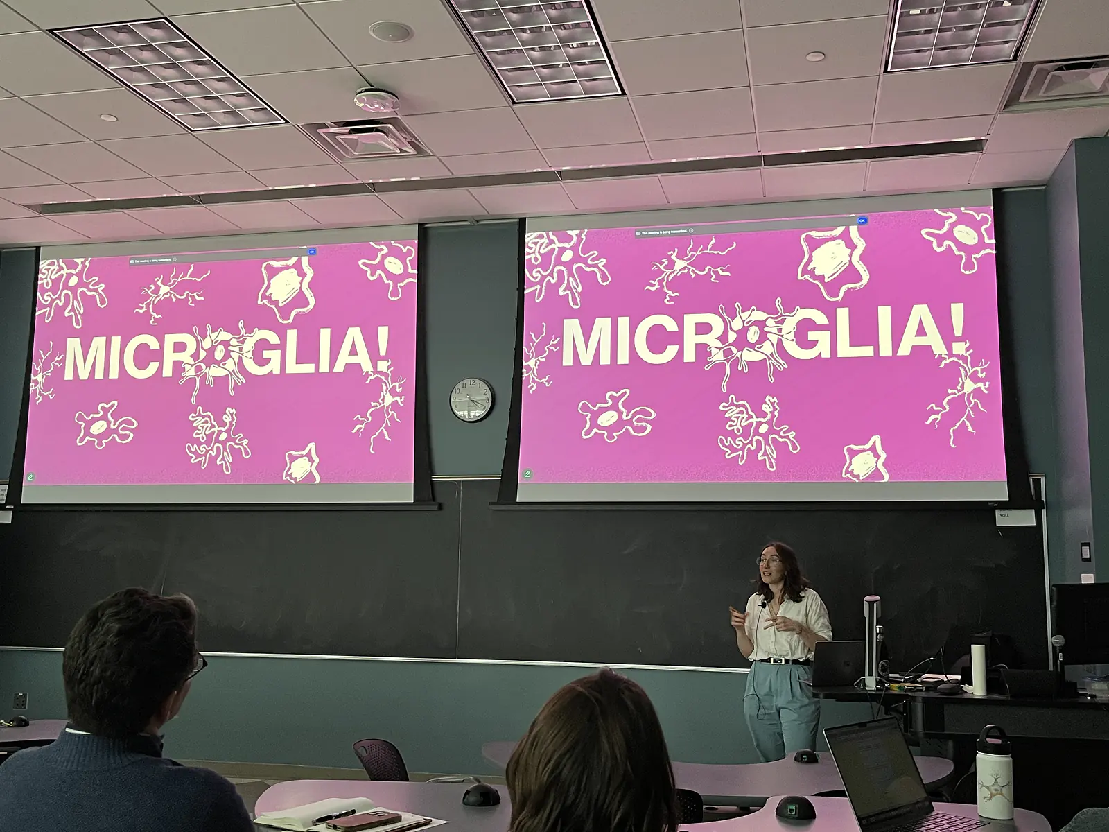 Seminar presentation of my research, Neuroscience Graduate Program, 2024.