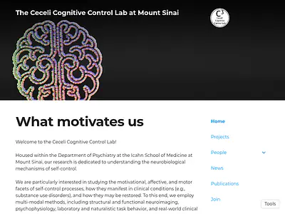 The Ceceli Cognitive Control Lab at Mount Sinai