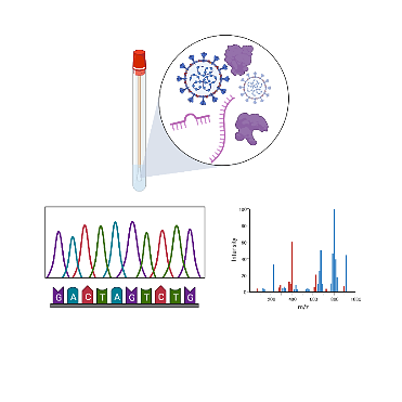 Discover circulating miRNA and protein biomarkers that determine viral infection and pathogenesis