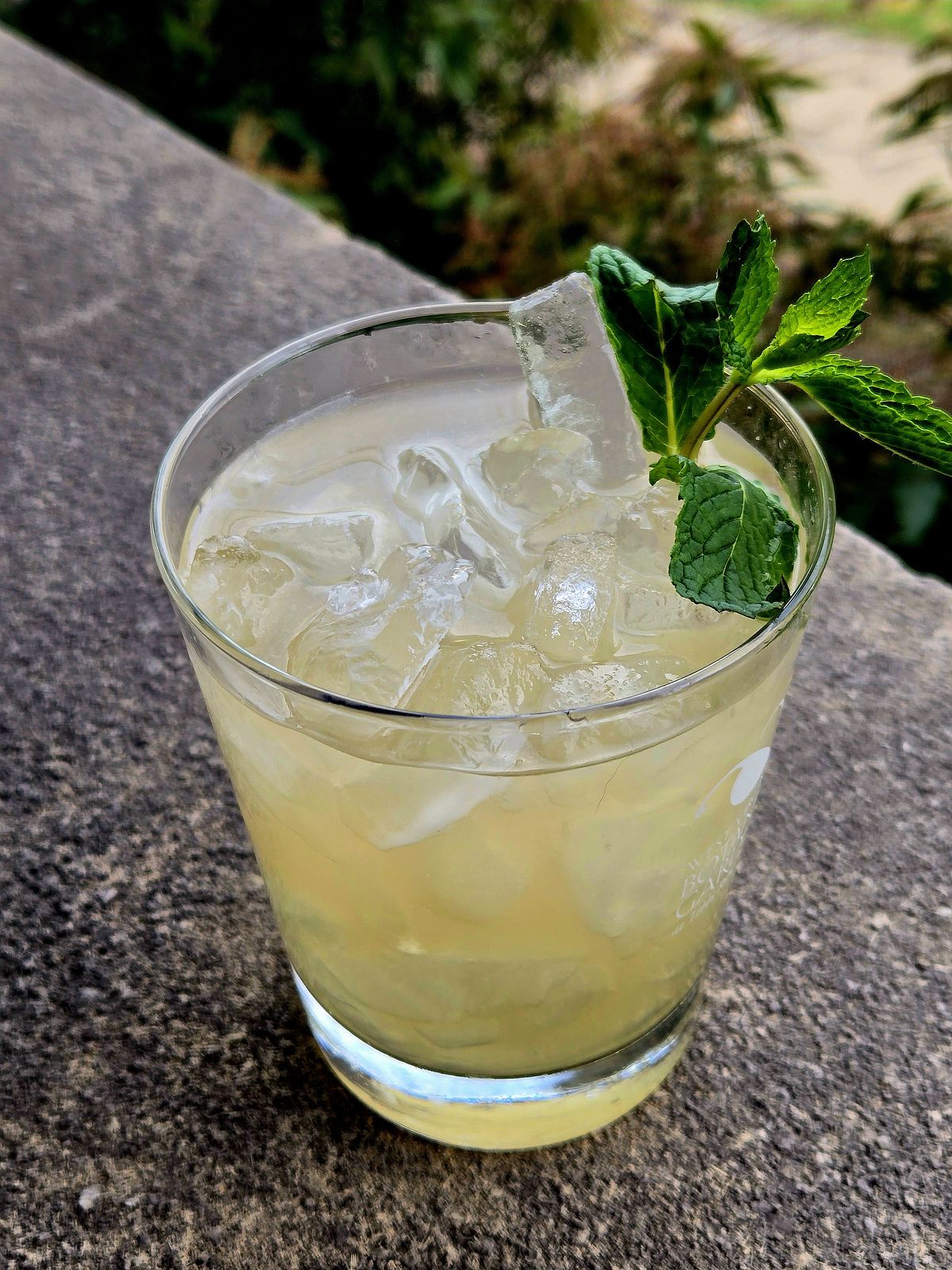 Garrick Club Punch in a rocks glass with mint sprig garnish atop a stone wall.