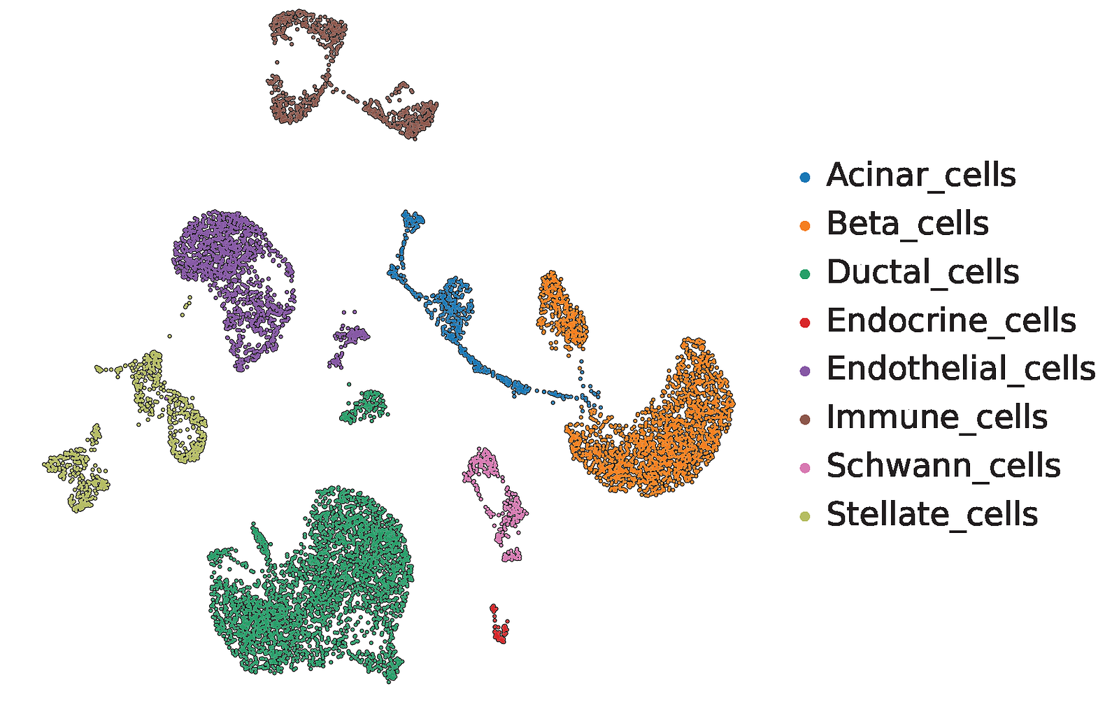 UMAP showing major cell types of porcine pancreas form scRNA-Seq experiments adopted from Karampelias et al, Embo Mol med 2025