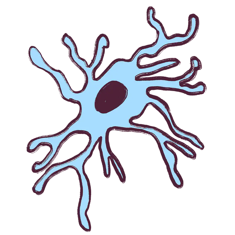  A microglia, the immune cell of the brain. 