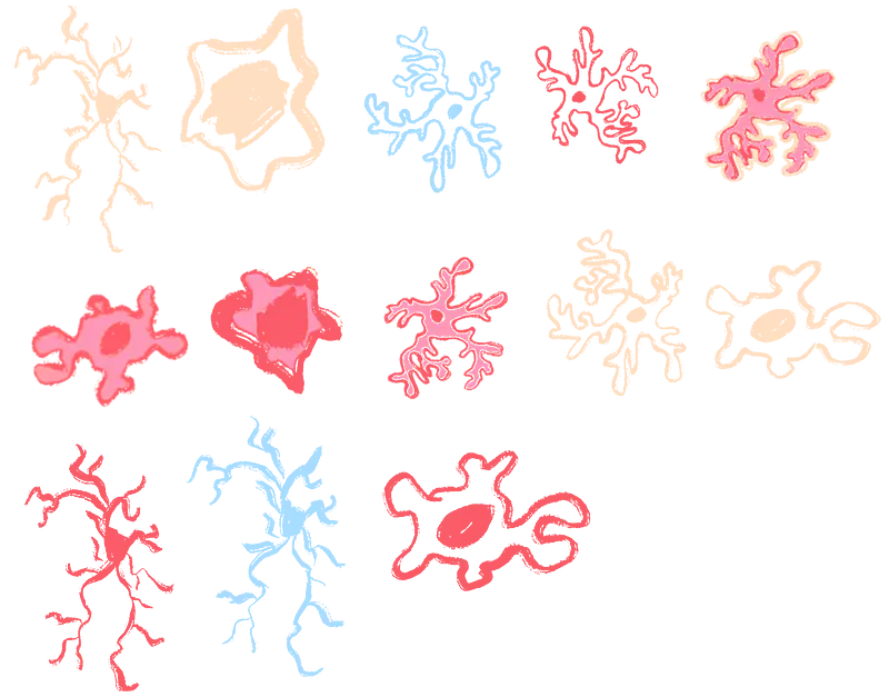  Different versions of microglia, the immune cells of the brain, demonstrating how these cells change shape. 