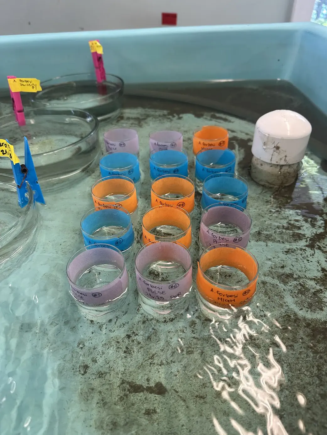 An example of one experiment