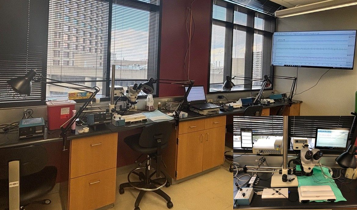 Picture of several of the surgery stations in the Core.