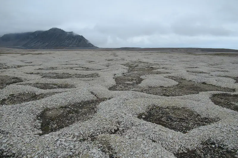 Sorted stone circles - nature does this!