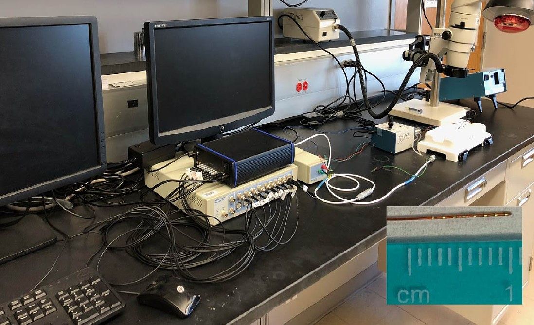 Picture of computer, dissecting microscope, and hardware for performing PES in the Core.