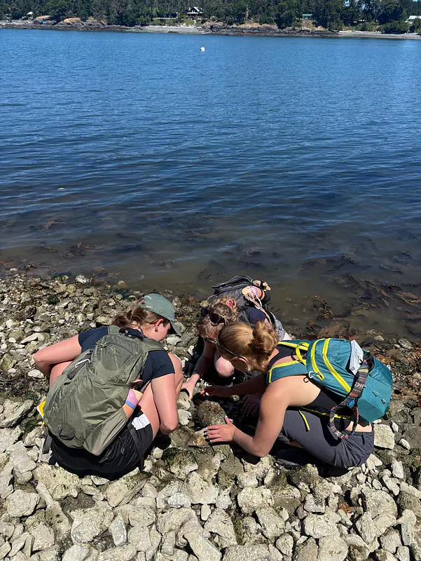Exploring the rocky intertidal