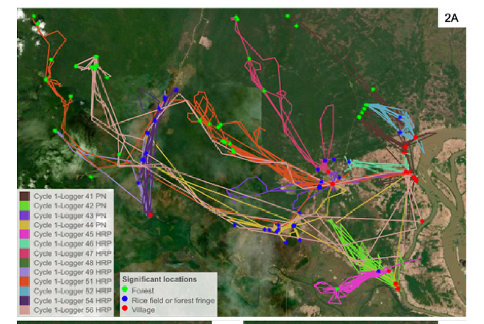 GPS Data logger human migration study