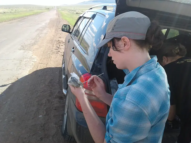 Field work in Russia