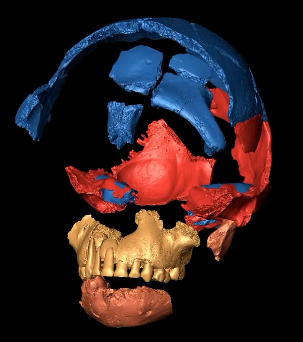 Understanding African Indigenous Knowledge Systems (AiKS) Through Human Palaeontology