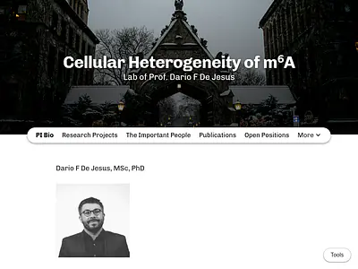 Cellular Heterogeneity of m⁶A