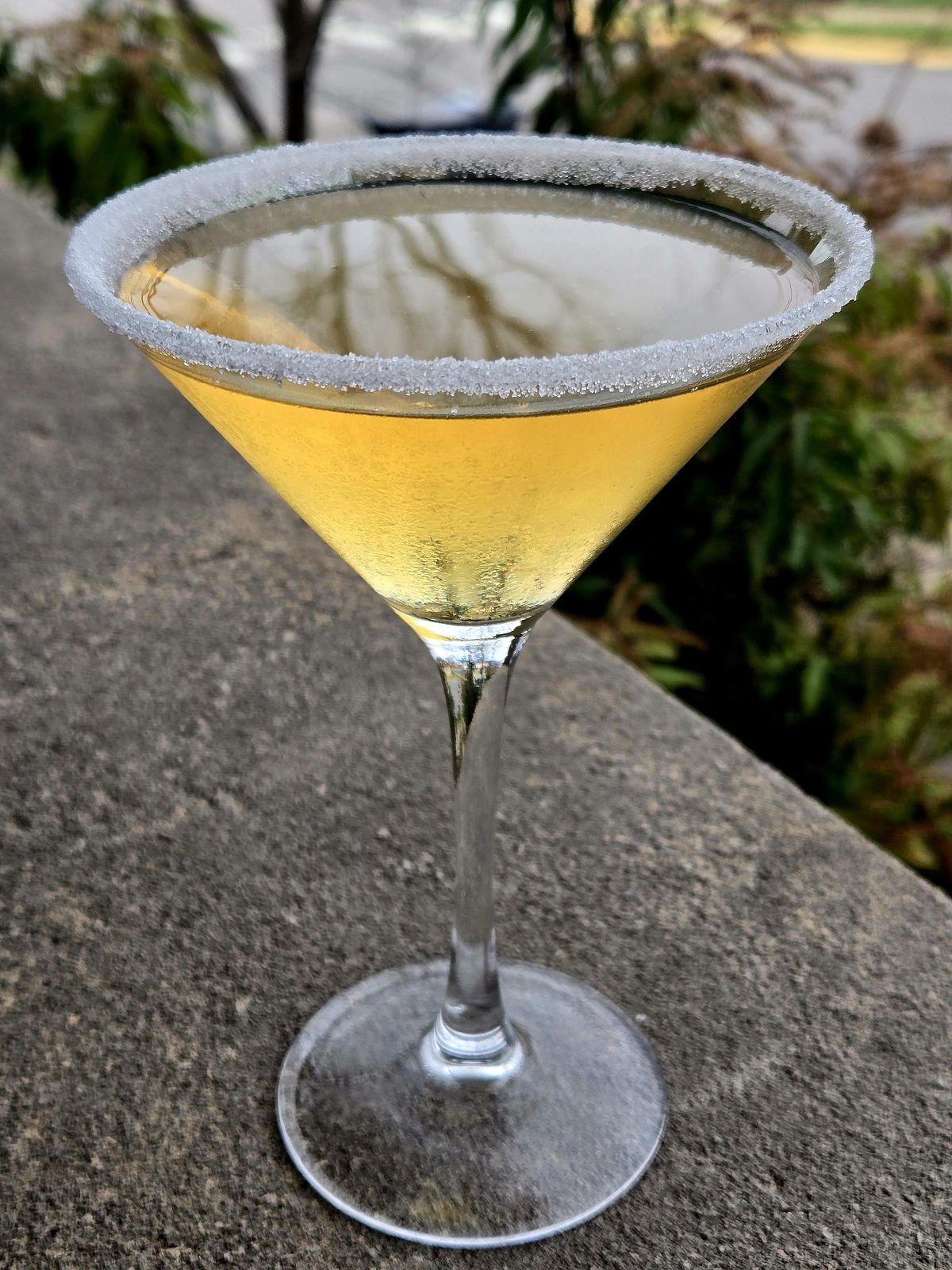 The Golden Bulb cocktail in a Martini glass with sugared rim atop a stone wall.