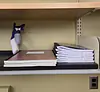 Pippa the Pipettor in the lab