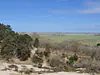 Netherlands, North Holland, Schoorl (2026): View from the Catrijper Nok, the highest dune of the Netherlands and at 55.4 m the highest point of the Holland provinces