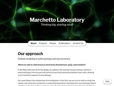 Marchetto Laboratory