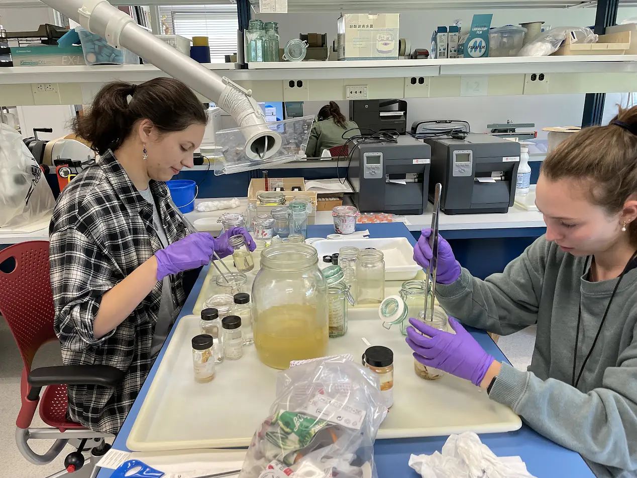 Rehousing crab specimens with Mac