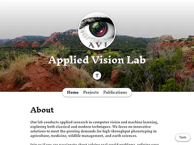 Applied Vision Lab