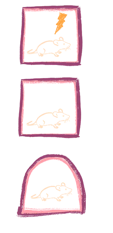 Fear Conditioning, a test of learning and memory in mice. 