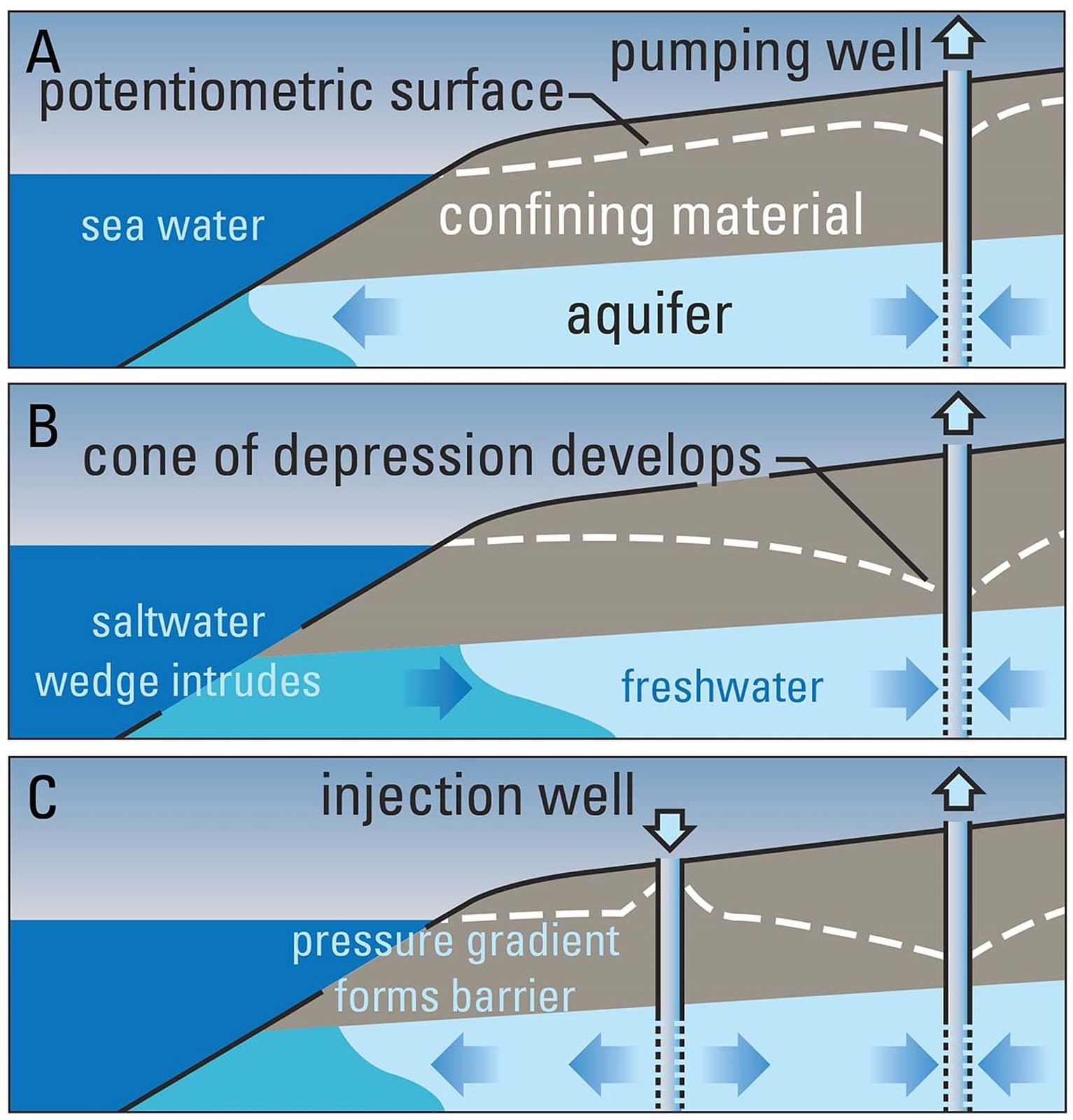 Managed aquifer recharge via injection into a piezometric dome—if it is ideally located (between the sea and an aquifer, for example)—acts as a hydraulic barrier that can protect the groundwater resource by repelling the salt front.
