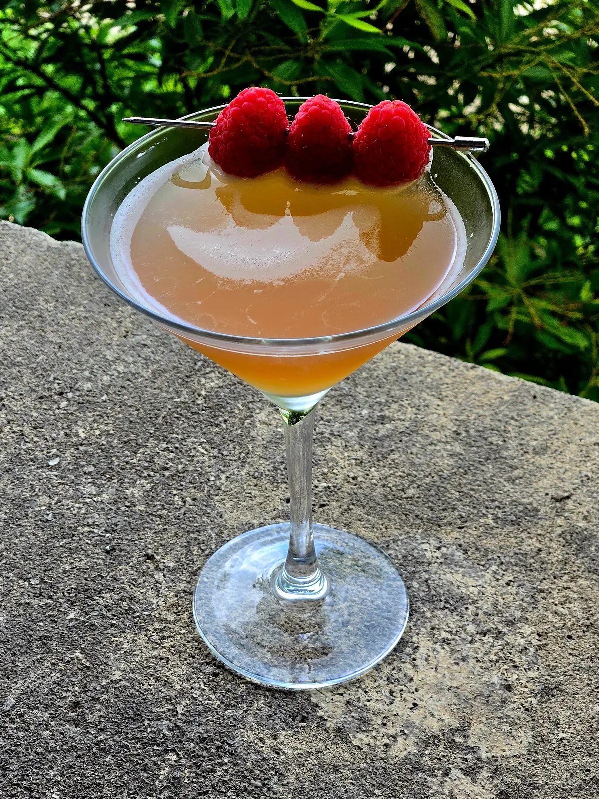 French Martini with Raspberry Garnish