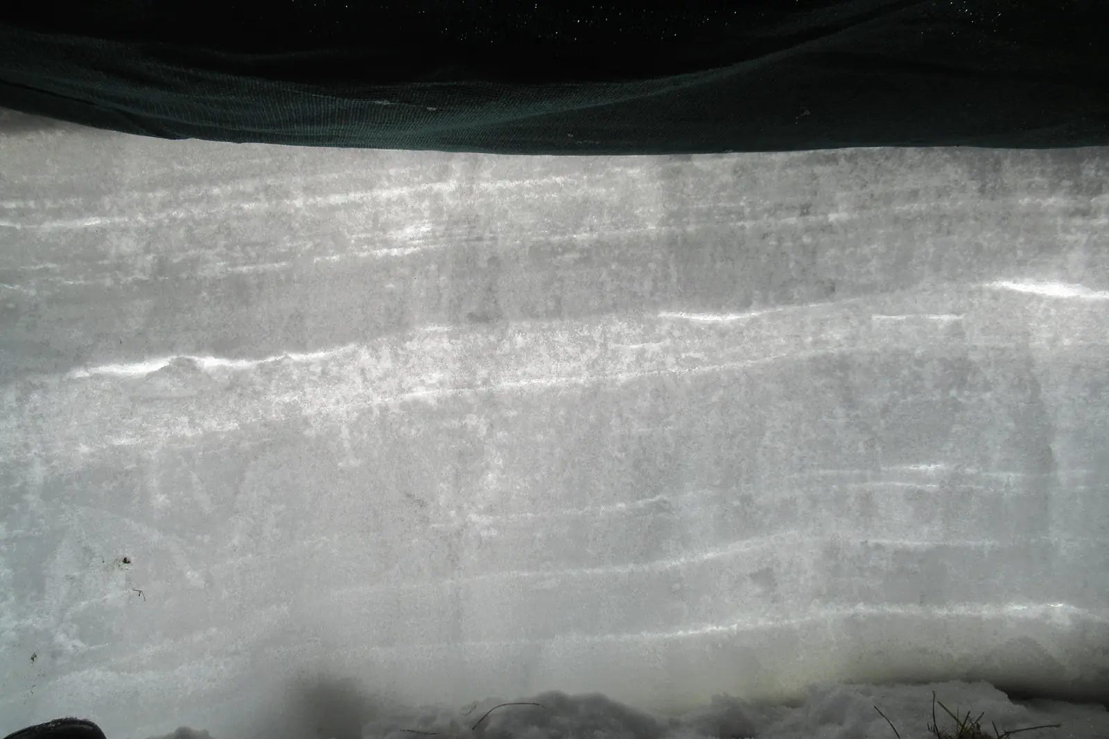 Snow layers in a cross section - Lautaret (France)
