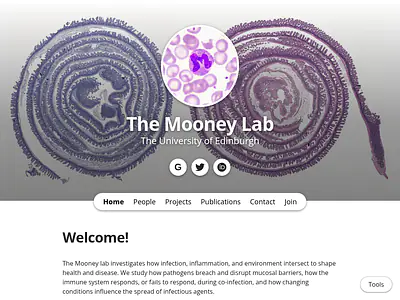 The Mooney Lab