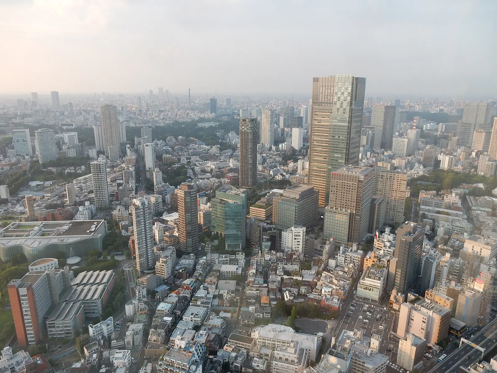 Japan, Tokyo, Minato (2019): View from the Mori Tower in Roppongi Hills on what is still the most populous metro area in the world