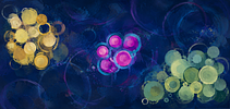 Banner image placeholder