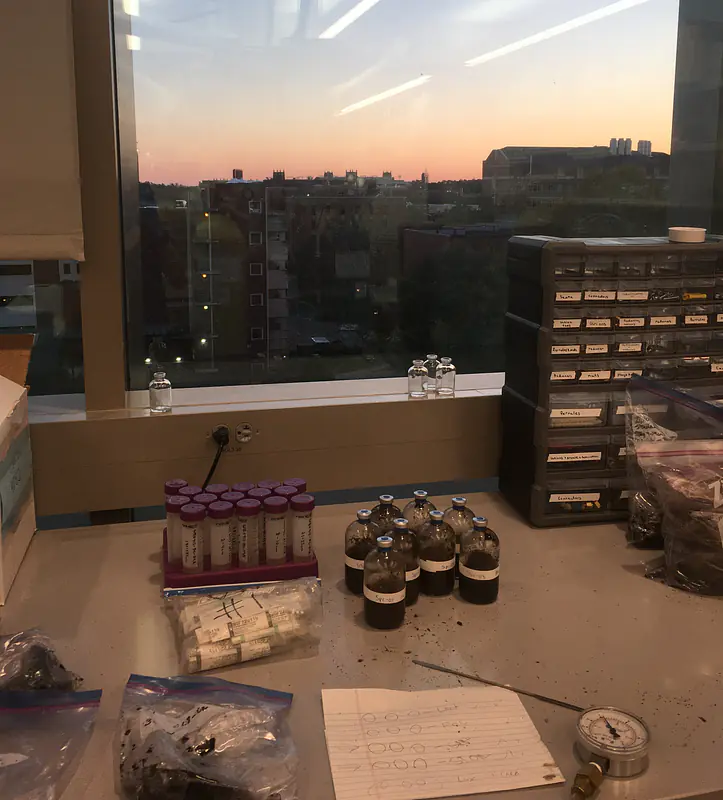 The view from the laboratory I worked in during my masters, at Florida State University. 2021 